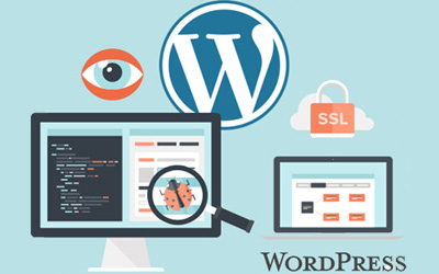 Beheer en onderhoud WordPress site